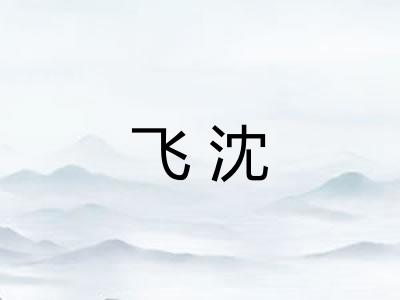 飞沈