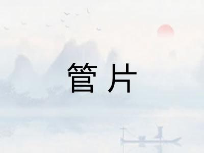 管片