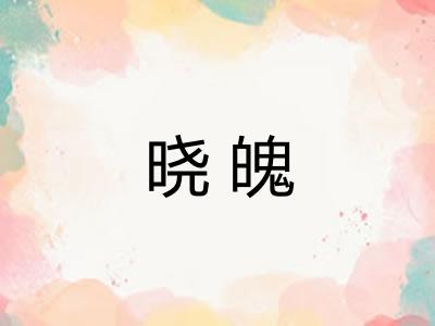 晓魄