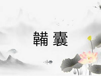 韛囊