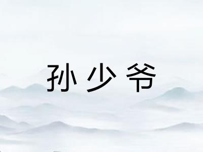 孙少爷