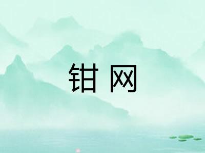 钳网