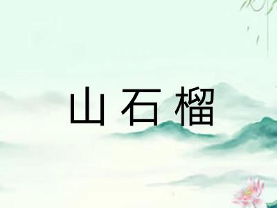 山石榴