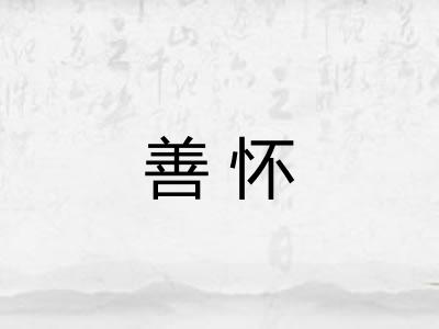 善怀