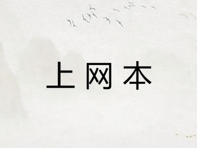 上网本