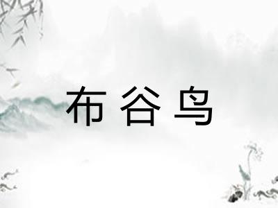布谷鸟 布谷鸟