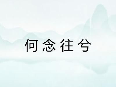 何念往兮