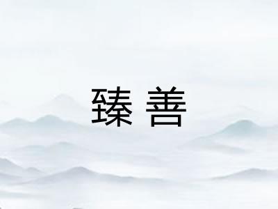 臻善