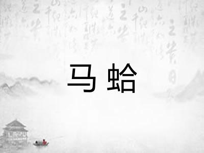 马蛤