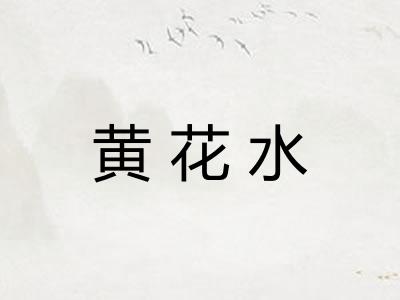 黄花水