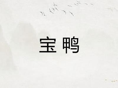 宝鸭