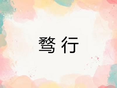 骛行