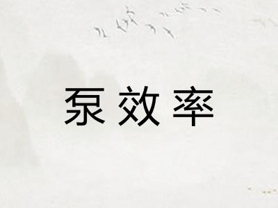泵效率