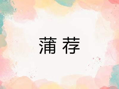 蒲荐