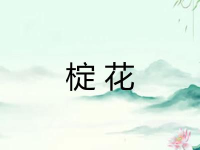 椗花