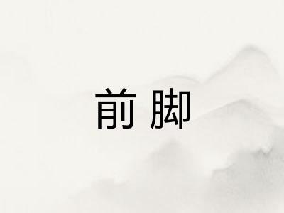 前脚