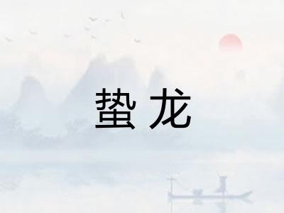 蛰龙