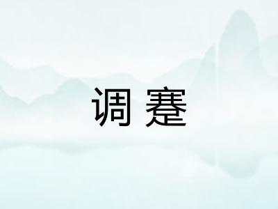 调蹇