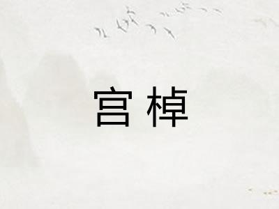 宫棹