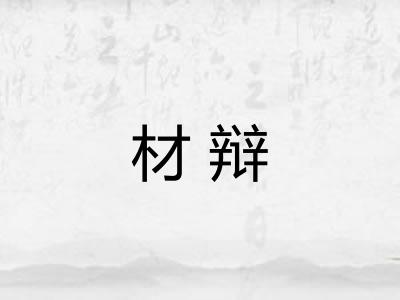 材辩