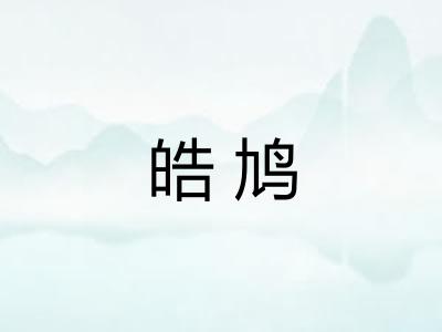 皓鸠