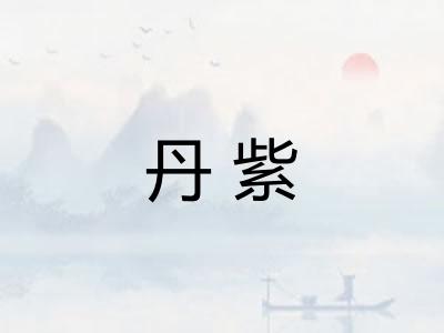 丹紫