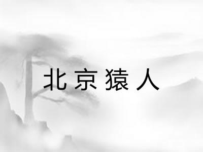北京猿人