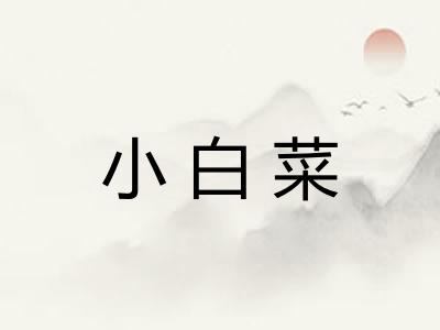 小白菜