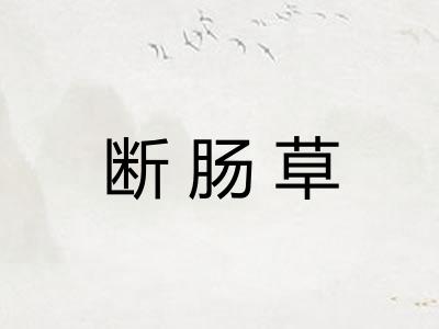 断肠草