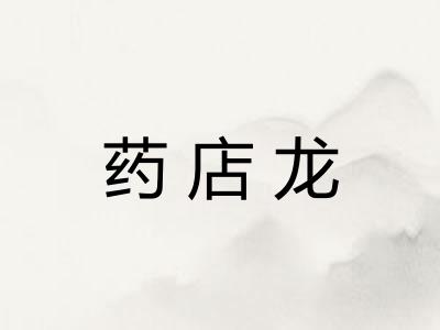 药店龙