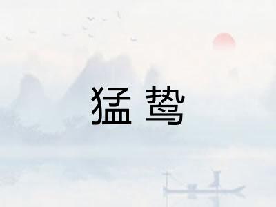 猛鸷