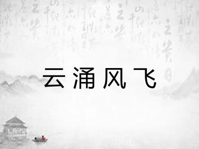 云涌风飞