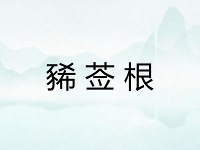 豨莶根