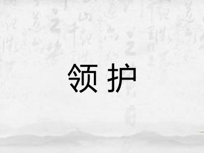 领护