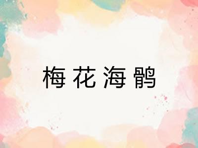 梅花海鹘 梅花海鹘