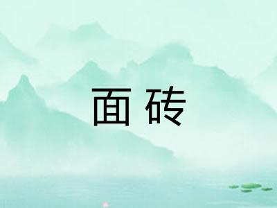 面砖 面砖