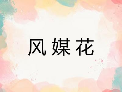 风媒花