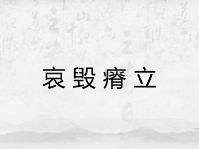 哀毁瘠立