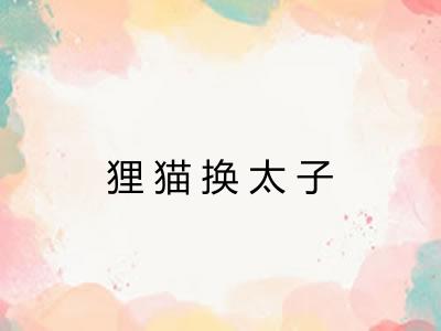 狸猫换太子 狸猫换太子