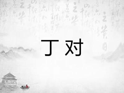 丁对