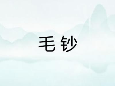 毛钞