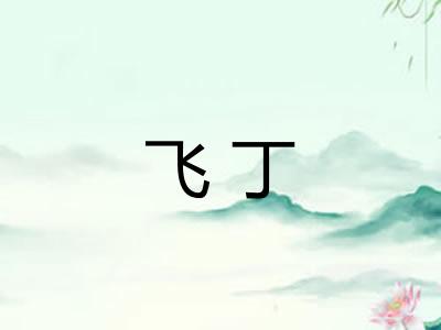 飞丁