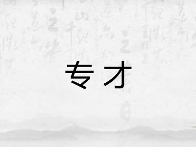 专才