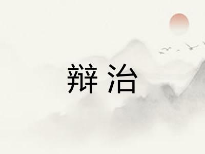 辩治