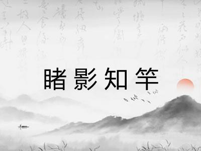 睹影知竿