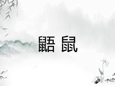 鼯鼠