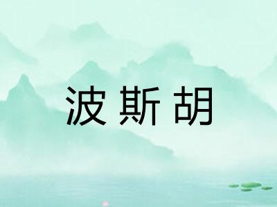 波斯胡 波斯胡