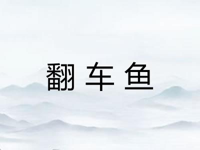 翻车鱼 翻车鱼