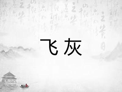 飞灰 飞灰