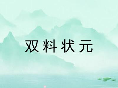 双料状元